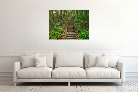 Moss-covered stone stairway ascending through dense green woodland forest